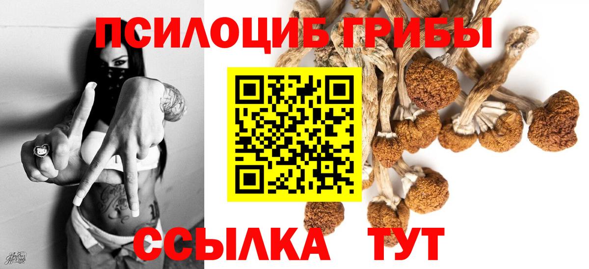 Галлюциногенные грибы ЛСД  Псилоцибиновые грибы прущие грибы  Качканар  Вход с VPN 